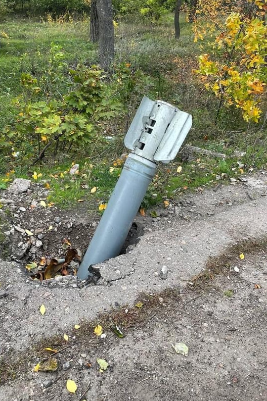 0000 info.dominikanie