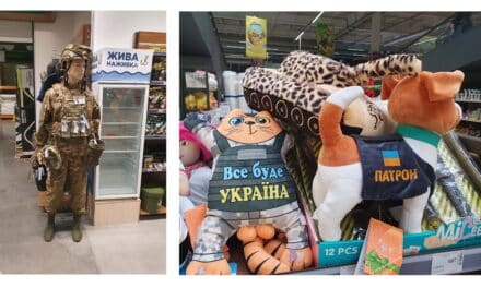 Wojna w przestrzeni społecznej; Społeczeństwo na wojnie