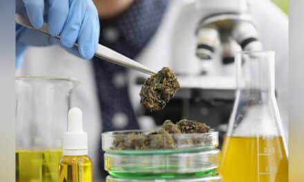 Fake news: Zełenski oskarżony o legalizację narkotyków