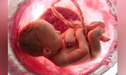 Sankowska-Grabczuk: wprowadzenie przesłanki zdrowia psychicznego to byłaby aborcja na życzenie