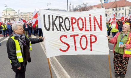 Dominik Gąsiorowski o proteście rolników: „Nigdy nie spotkałem tylu prorosyjskich aktywistów w jednym miejscu”
