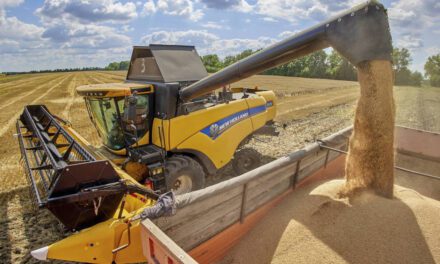 Dr Patey: Import zboża z Ukrainy nie jest przyczyną problemów polskiego rolnictwa