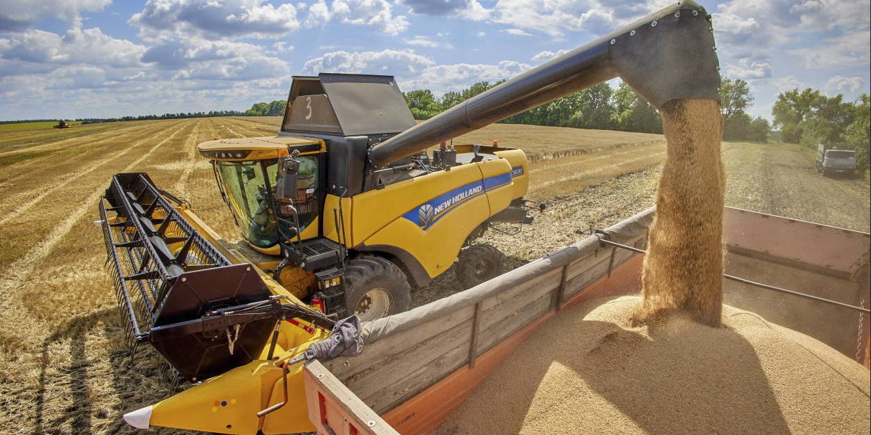 Dr Patey: Import zboża z Ukrainy nie jest przyczyną problemów polskiego rolnictwa