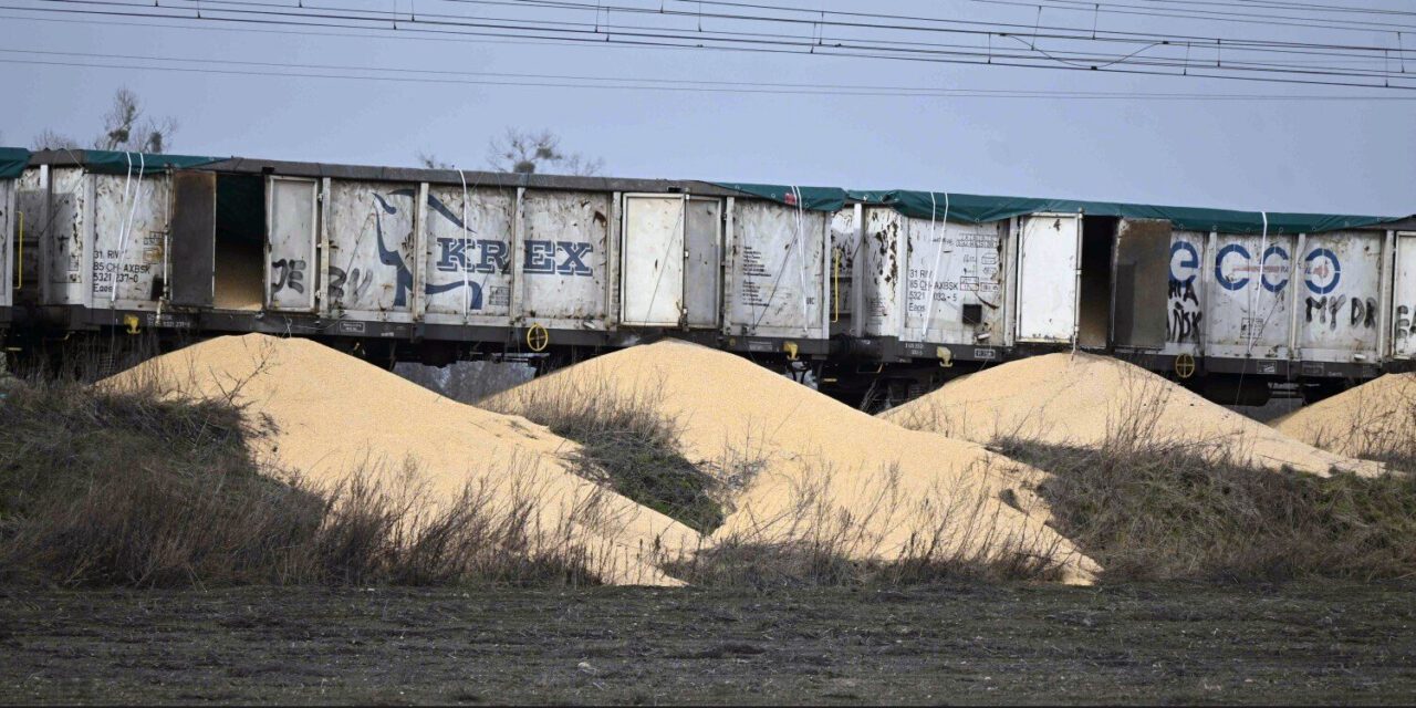 Dezinformowali o incydencie w Kotomierzu. Fake newsy i manipulacje uderzały w polski tranzyt – Hubert Kowalski