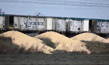 Dezinformowali o incydencie w Kotomierzu. Fake newsy i manipulacje uderzały w polski tranzyt – Hubert Kowalski