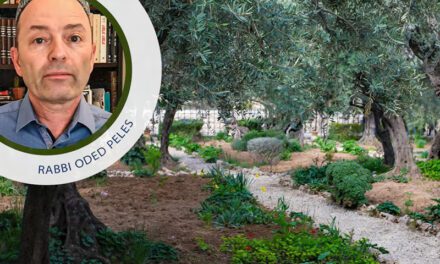 Znaczenie gościnności w kulturze żydowskiej