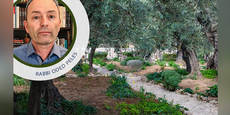 Znaczenie gościnności w kulturze żydowskiej