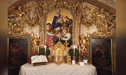 W Wiedniu rozpoczęła się tradycyjna oktawa św. Stanisława Kostki