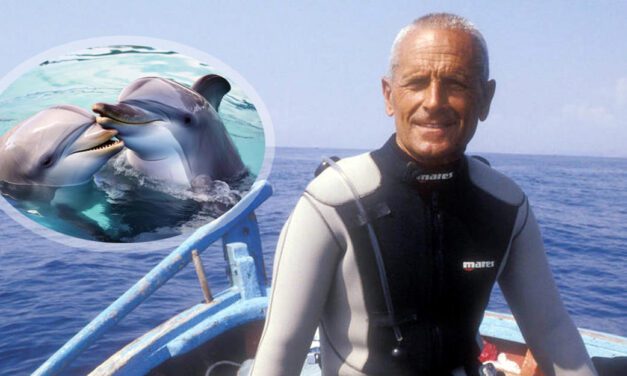 Spotkanie serc pod wodą: historia nurka Enzo Maiorcy i delfiniej rodziny